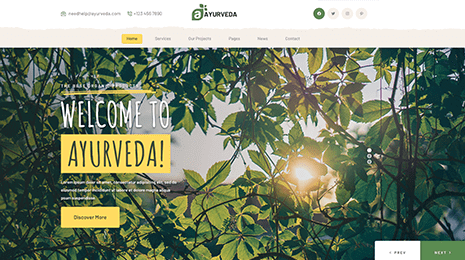 Ayurveda WordPress Theme Thumbnail 