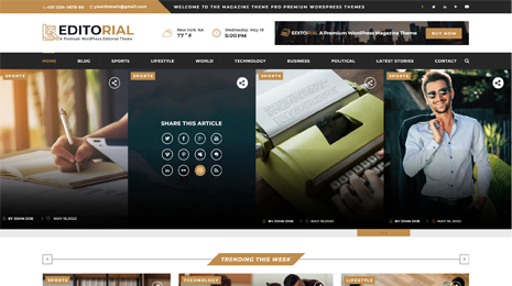 Editorial Service WordPress Theme Thumbnail 