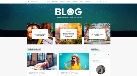 Premium WordPress Blog Theme Thumbnail 