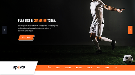 WordPress Sports Theme Thumbnail 